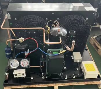 Αλεξάντερ Τόρεϊ