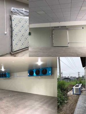 ZK-9000 Cold Storage Parts Temperature Display