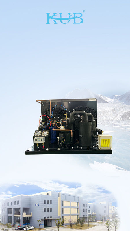 TAG2516Z Tecumseh συμπιεστή μονάδα ψύξης μονάδα ψύξης μονάδα r404α μονάδα συμπύκνωσης για περπάτημα στο ψυγείο