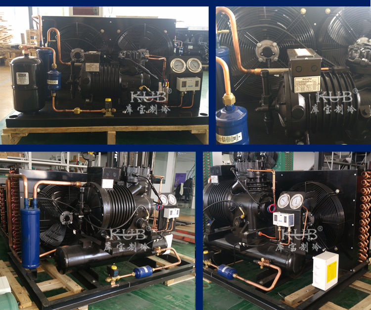 BFS51 Αξιόπιστη ψυχρή αίθουσα ημι-ερμητικός συμπιεστής μονάδα συμπύκνωσης αποθήκευσης ψύξης μονάδα ψύξης εύκολη στη λειτουργία