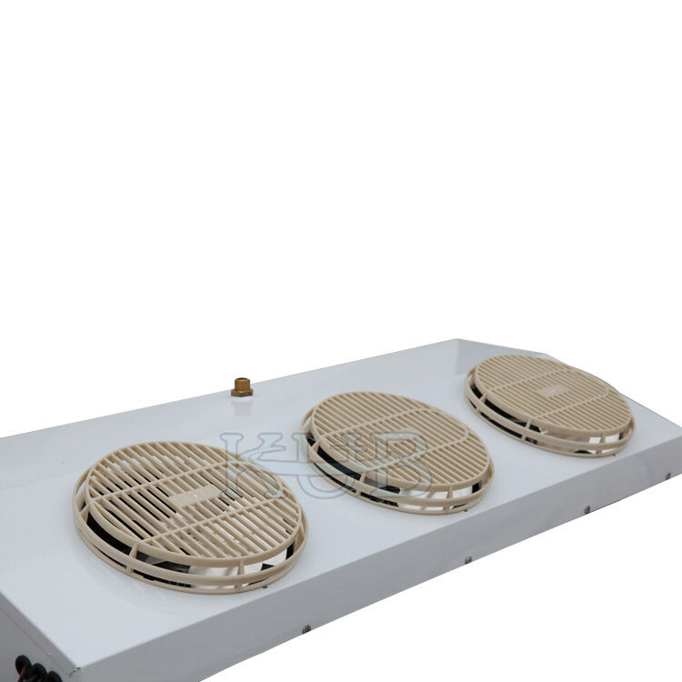 Η σειρά KUBD Ηλεκτρονικός εξατμιστής (Ευρωπαϊκός) Ατμοσφαιριστής χωρίς νερό Οικιακή χρήση Εμπορική χρήση Βιομηχανική χρήση Καλή τιμή