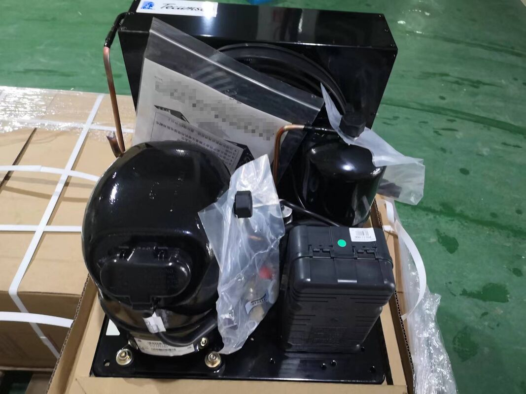 3/4HP έως 6HP χαμηλής πίεσης πίσω συμπιεστής Tecumseh πυστώνος συμπιεστής R404A ψυκτικοί συμπιεστές