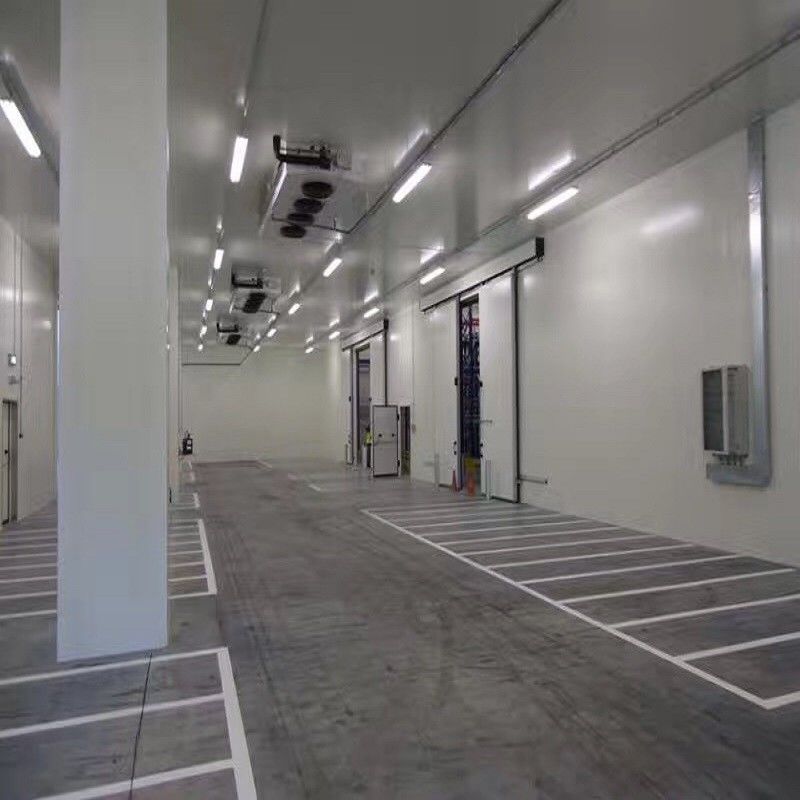 Νέο δωμάτιο κρύας αποθήκευσης για το φυτικό αεροψυχραντήρα κρύων δωματίων beaf πατατών κρέατος