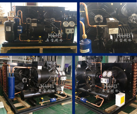 BFS51 Reliable Cold Room Semi-hermetic Compressor Condensing Unit Cold Storage Refrigeration Unit Easy to Operate